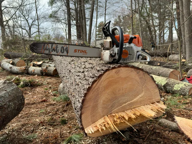 work photo from treeguysinc.com