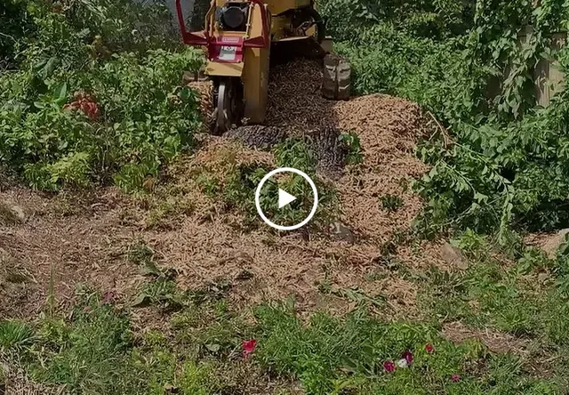 another stump grinding video