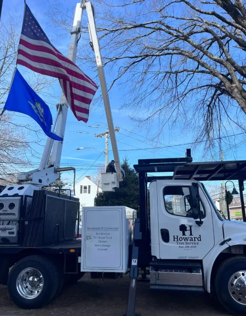 Tree service truck with bucket lift removing or trimming a large tree, flags flying, and a street and houses in the background.