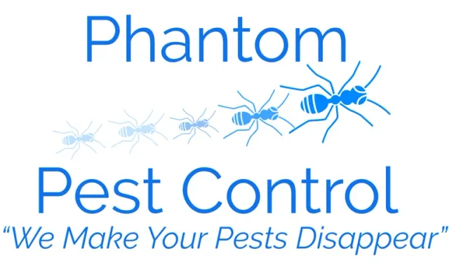 Phantom Pest Control work photo