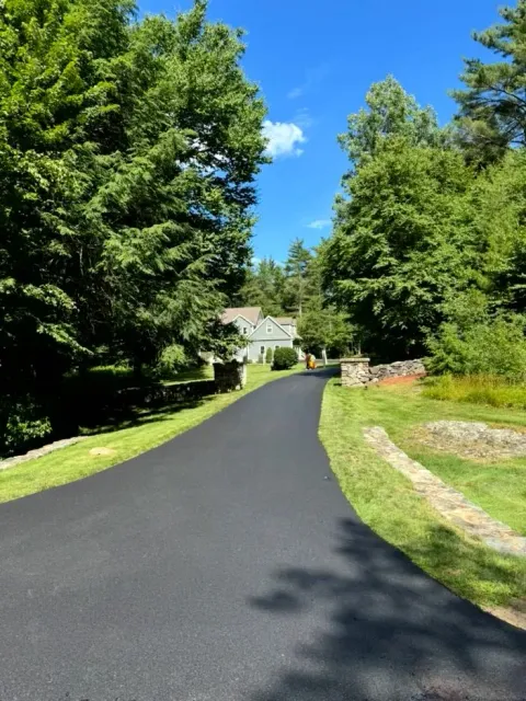 Paved driveway leads to a house between lush green trees under a bright blue sky.
