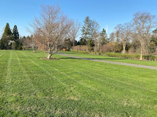 Tuff Lawn work photo