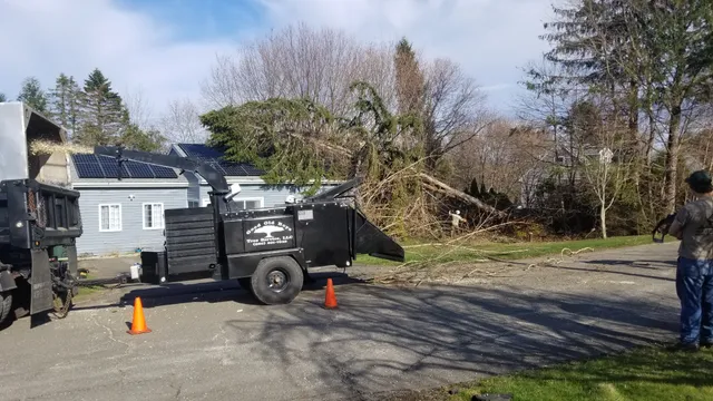 Good Old Boys Tree Services LLC. work photo
