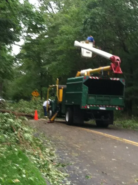 work photo from rttreeremoval.com