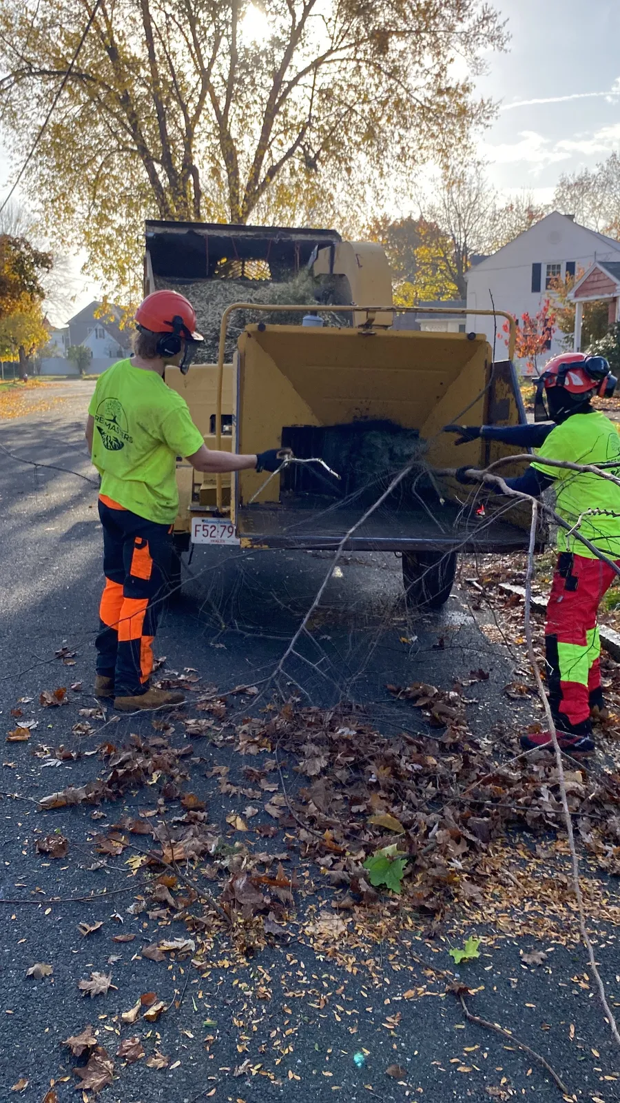 work photo from Google listing