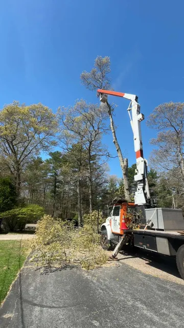 work photo from dwightstreeservicellc.com