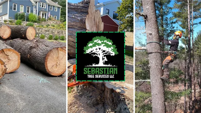 Sebastian Landscaping & Tree Services LLC