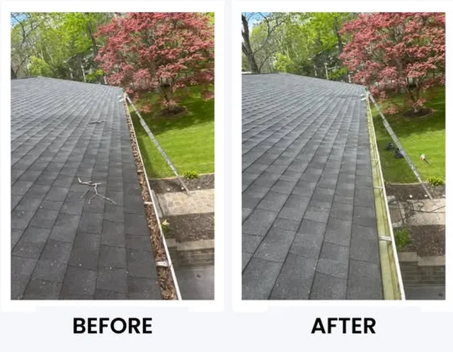 Roof and gutter cleaning