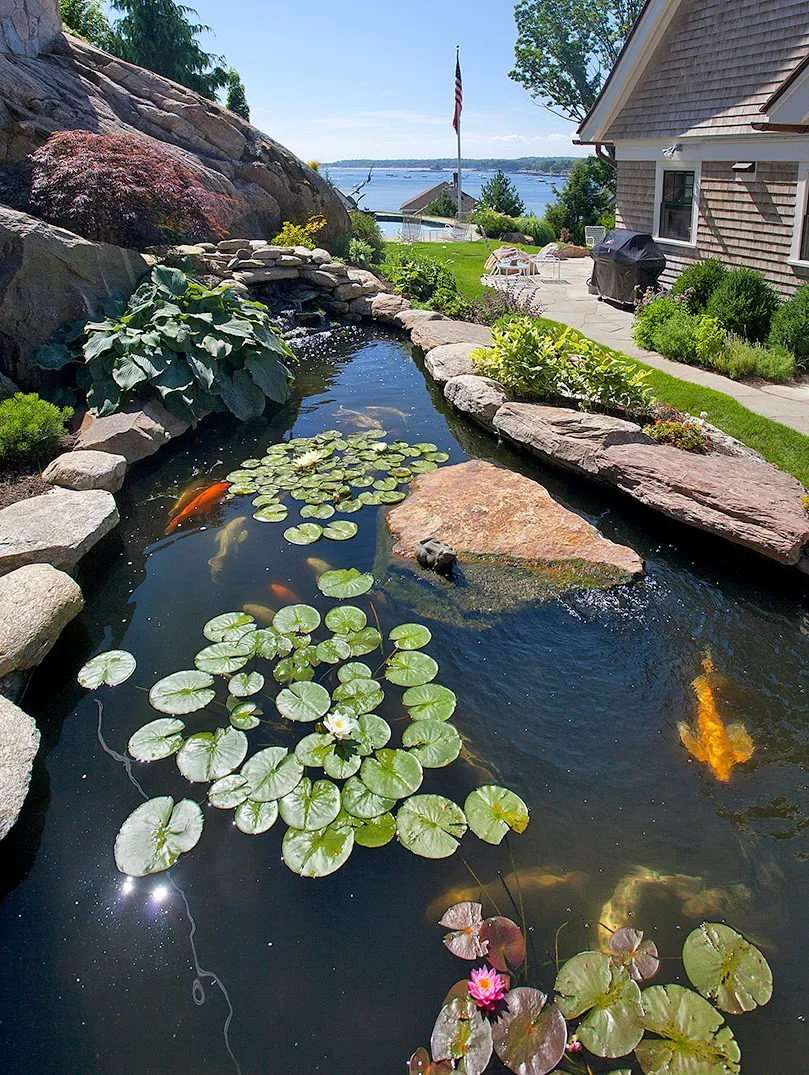 Forgione Landscaping