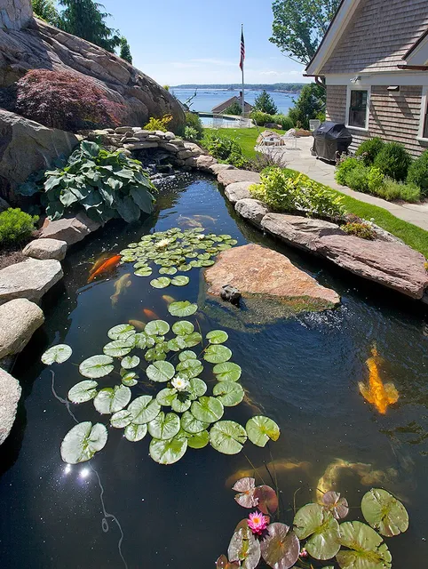 Forgione Landscaping