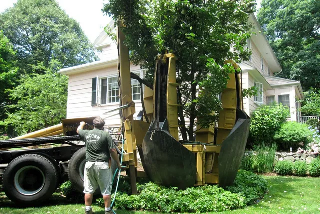 Acorn Tree & Landscaping inc. researched project photo