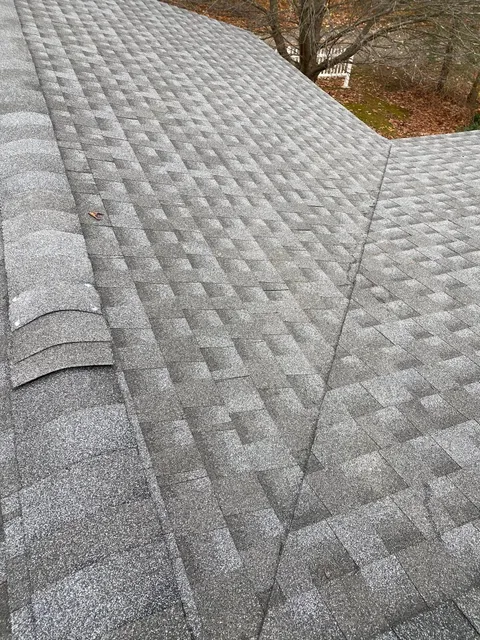 Gray asphalt shingle roof with granular surface.