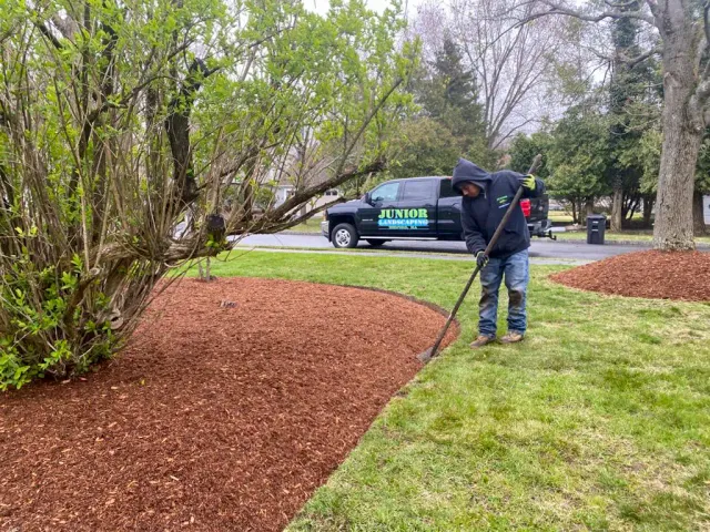 Junior Landscaping work photo
