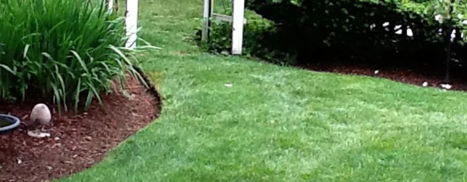 work photo from capescapeslandscaping.com