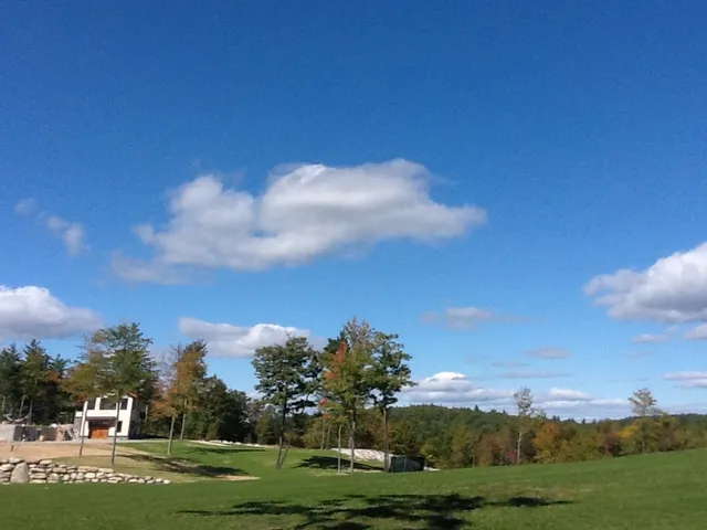 work photo from micklontreeandlandscape.com