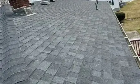 Rhino-Back Roofing roof inspection service