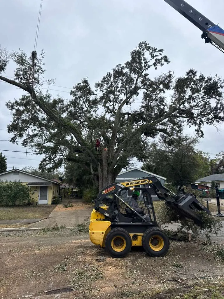 work photo from visionlandsandtreeservicesllc.com