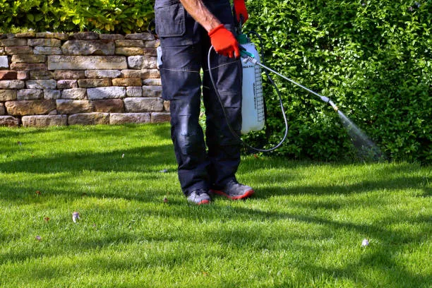 work photo from grass-rootsinc.com