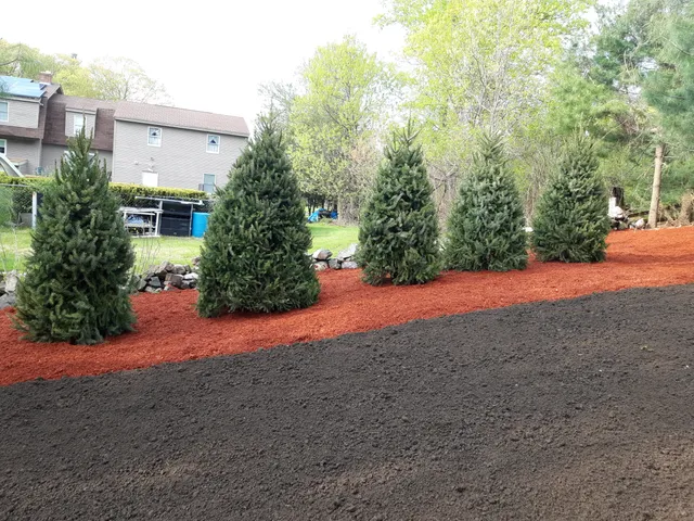 Tony's Landscaping MA work photo