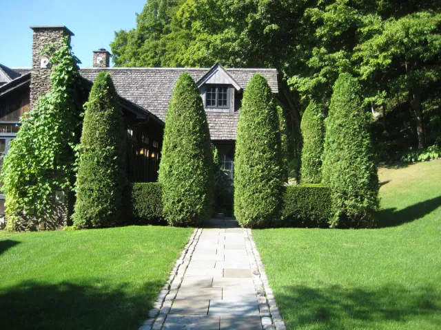 A paved walkway leading to a house partially hidden behind tall, well-trimmed evergreen bushes and trees, with a lawn on each side.