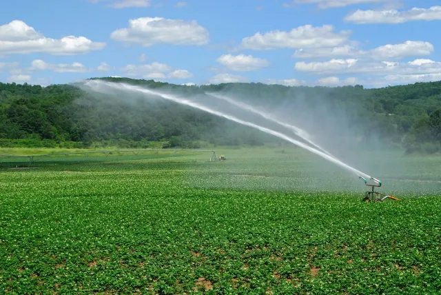 Irrigation in Wareham MA