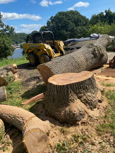 Jorge tree service llc work photo