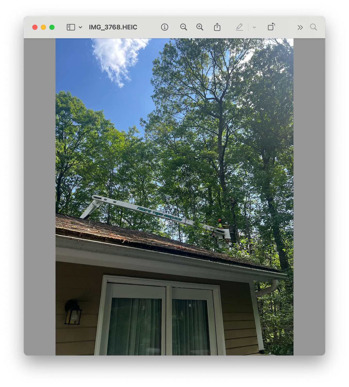 work photo from Google listing