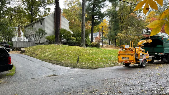 work photo from kevinslawnmowing.com