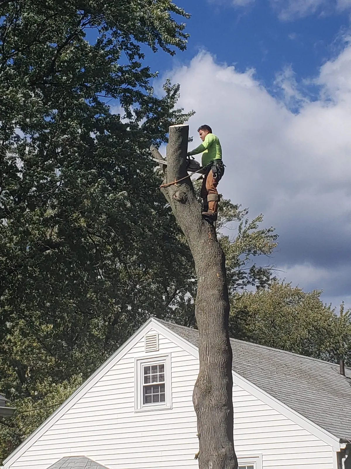 work photo from Google listing
