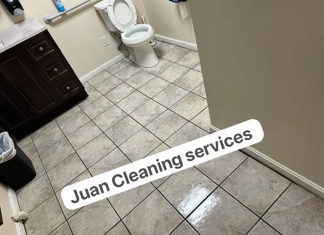 Pet Stain & Odor Removal