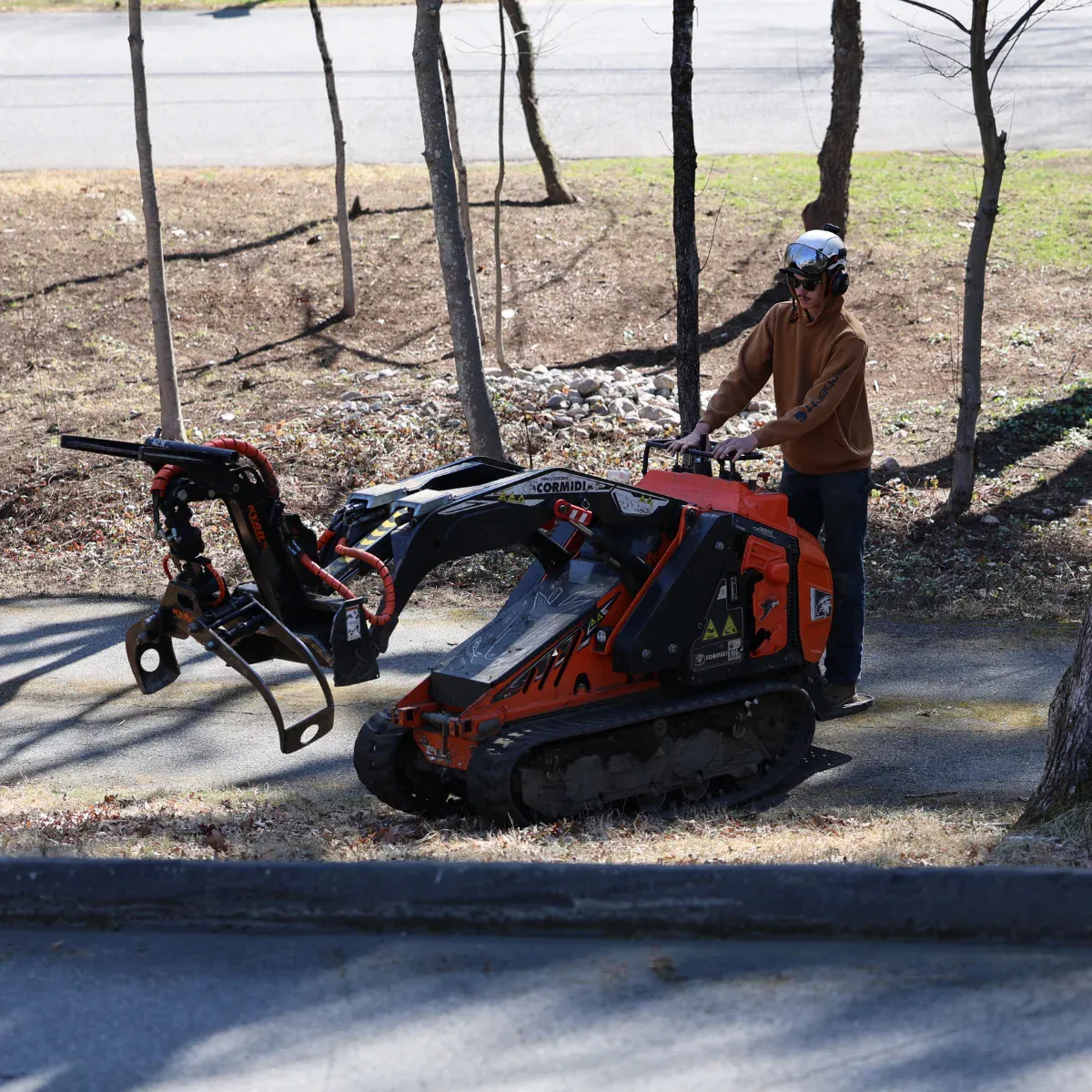 work photo from dovercountrytrees.com