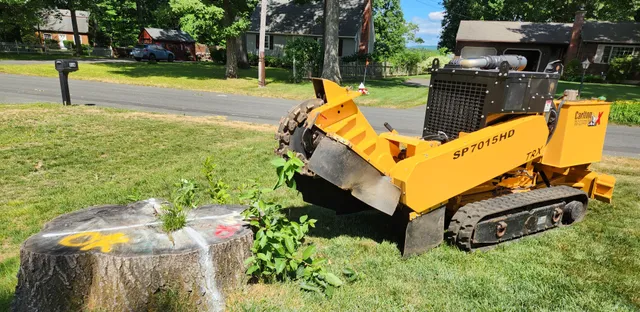 work photo from pioneerstump.com