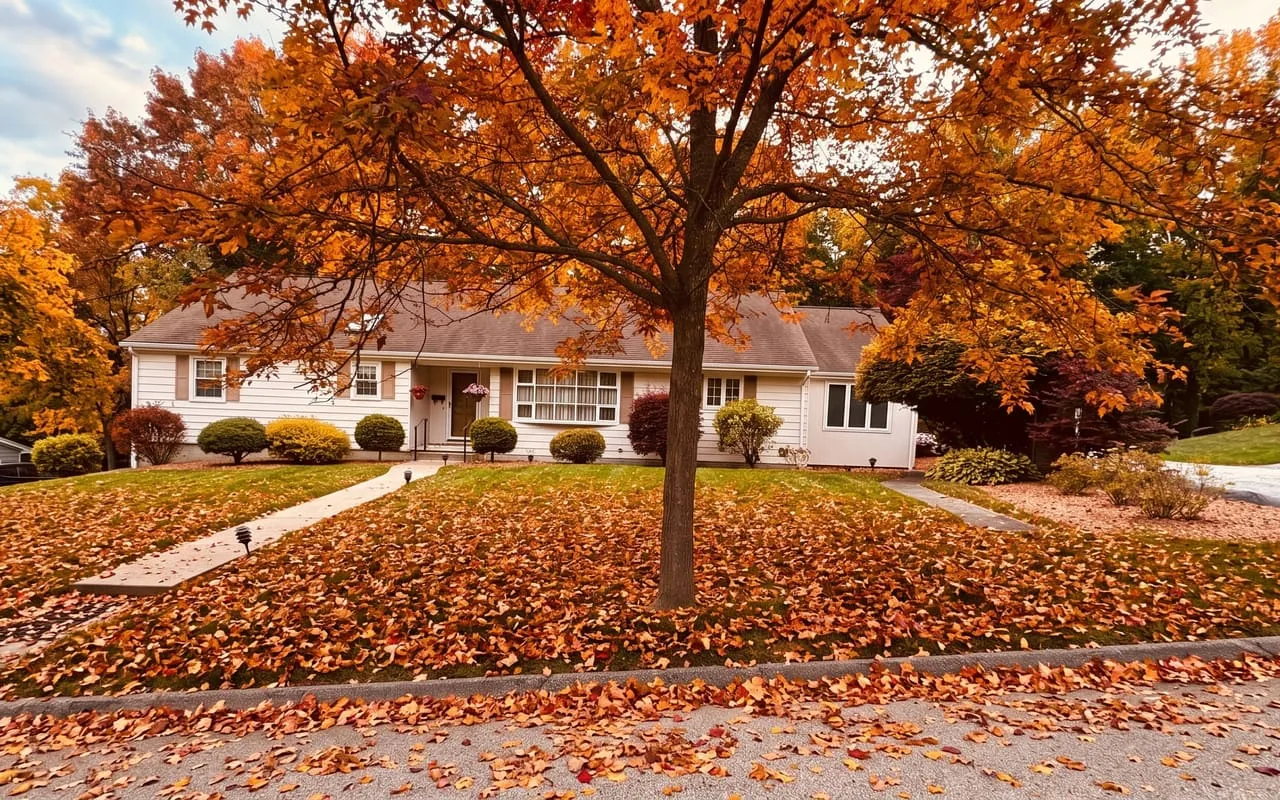 Fall Leaf Cleanup — before