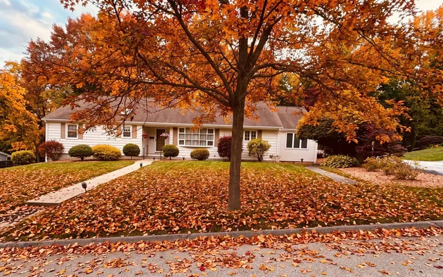 Fall Leaf Cleanup — before