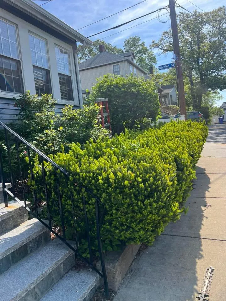 work photo from mllandscapingconstructionandmoreinc.us