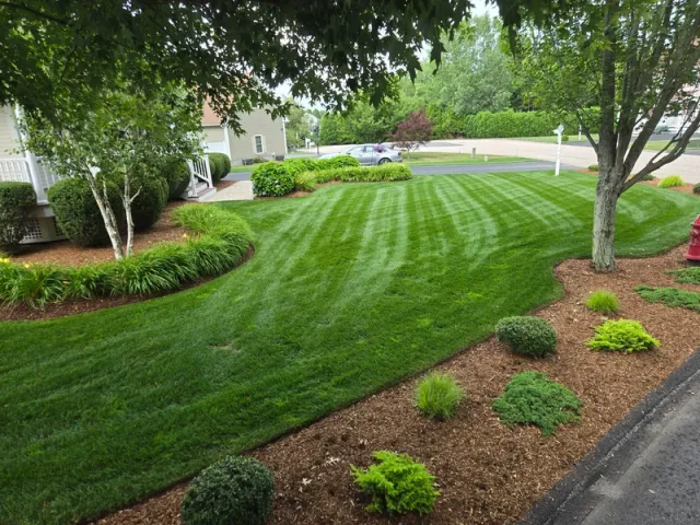 work photo from moralesandsonsllc.com