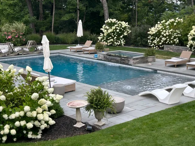 Beautiful backyard with a swimming pool, white lounge chairs, umbrellas, and lush greenery with flowering bushes.