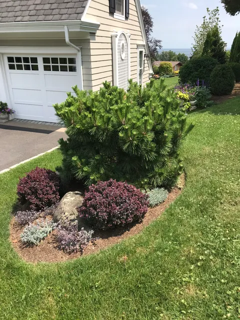 Avalanche Tree and Landscaping LLC work photo