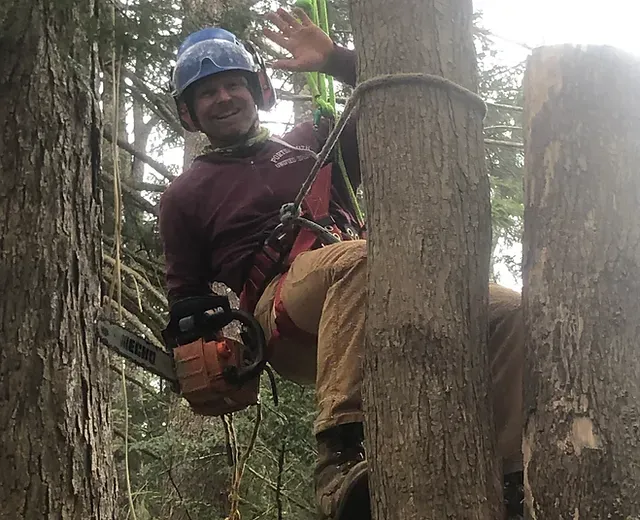 Bogong Tree Service, LLC researched project photo