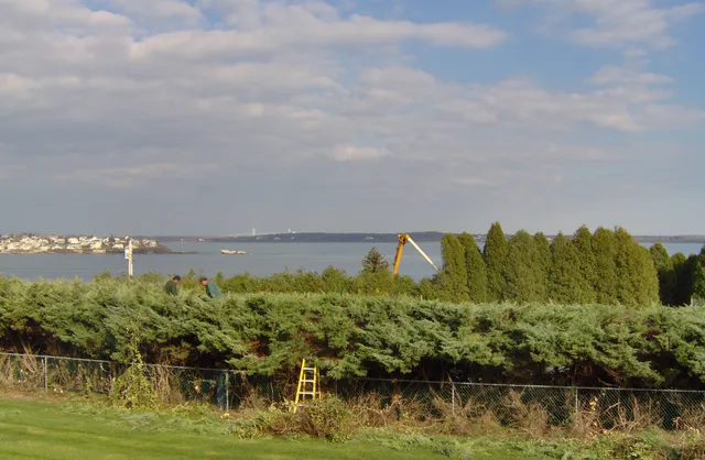 Vista Pruning