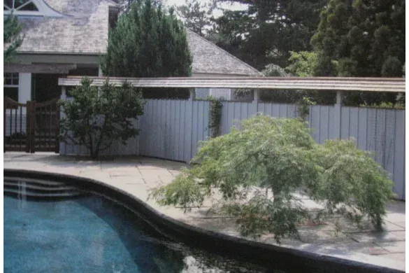 Poolside screen fence with sculpted maple planting