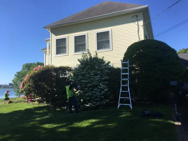 work photo from greeningreenouttreeservice.com