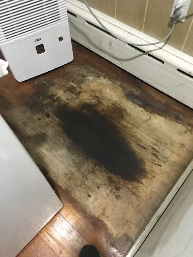 Done Right Home Inspections work photo