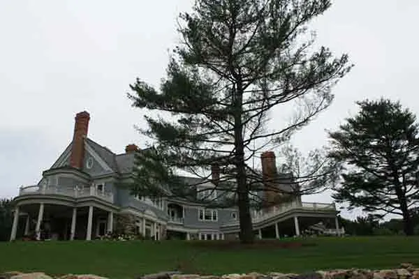work photo from kuczotreeandlawncare.com