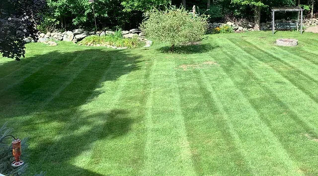 Connolly Landscape LLC work photo