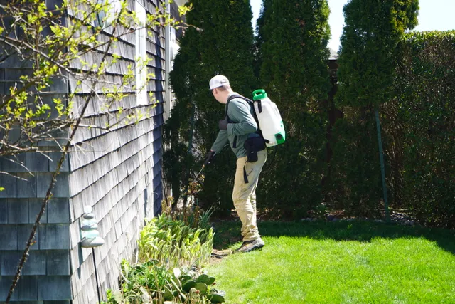 Debug Pest Control - SE Massachusetts work photo
