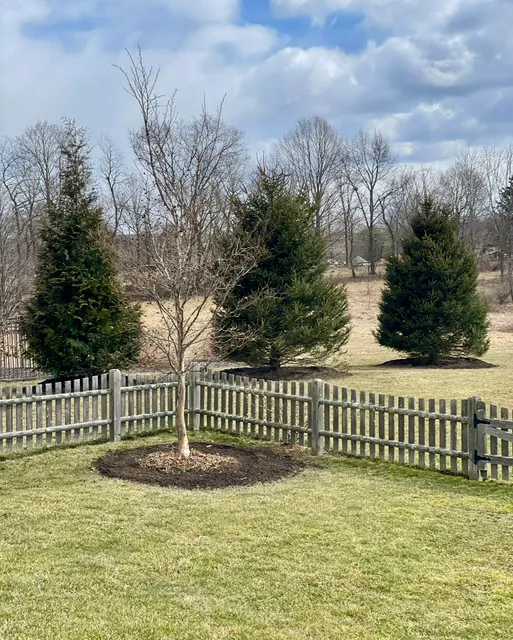 Acorn Tree & Landscaping inc. researched project photo