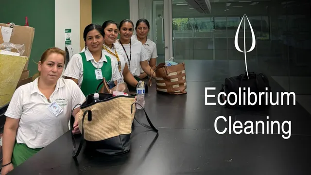 work photo from ecolibriumcleaning.com