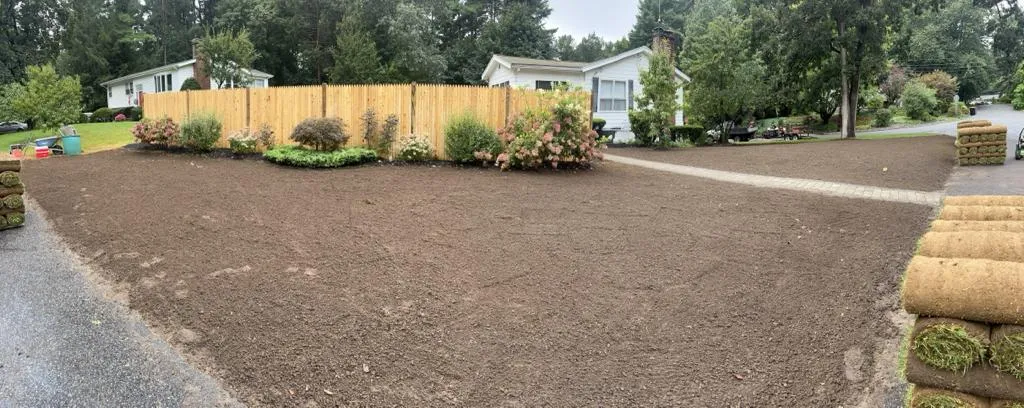 imagen sod sod preparation