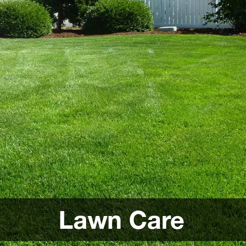 work photo from reillytreeandlandscape.com